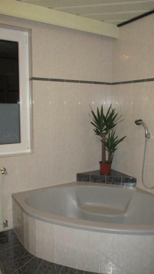 Wohnung In Haiding/Wels المظهر الخارجي الصورة